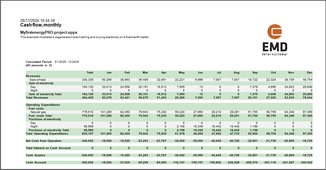 Cash flow monthly report